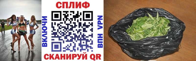 Галлюциногенные грибы Вилючинск