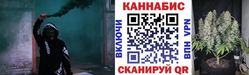 Бошки марихуана сатива  Вилючинск 